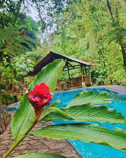 Princesa de la Luna Ecolodge Nature lodge in Alajuela Province