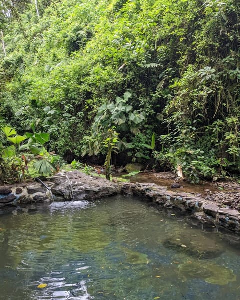 Princesa de la Luna Ecolodge Nature lodge in Alajuela Province