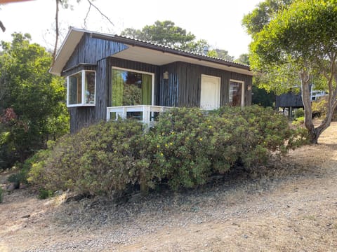 Property building, Garden view