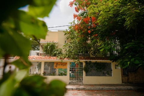 Property building, Facade/entrance, Day, Garden, Garden view