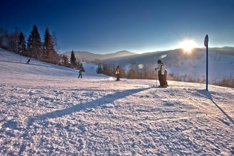 Ski School, Skiing