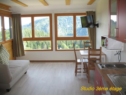 Les Terrasses du Lac Blanc - Studios & Appartements Hotel in Orbey