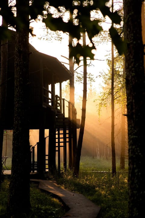 Sambliku Treehouse Nature lodge in Harju County, Estonia