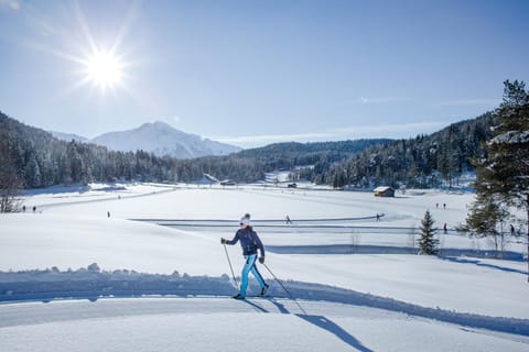 Natural landscape, Winter, Skiing, Mountain view, Sports