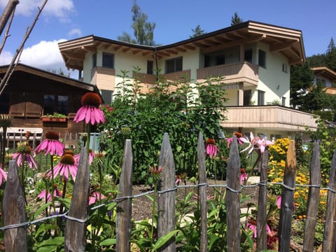 Property building, Summer, Garden, Garden view