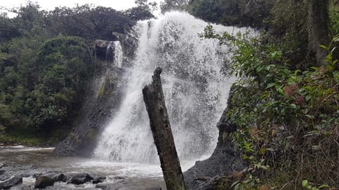 Rancho Nuevo - Ecoturismo - Cascadas la Periquera House in Cundinamarca, Colombia