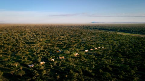 Gnu Ndutu Camp Capanno nella natura in Kenya