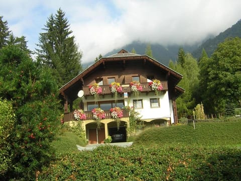 Haus Weber Pressegger See Apartment in Friuli-Venezia Giulia