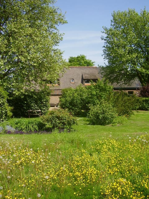 Spring, Garden, On site