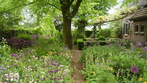 Patio, Spring, Garden