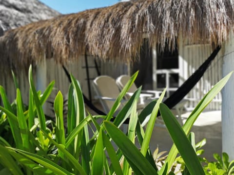 Coco Tulum Hotel Hotel in State of Quintana Roo