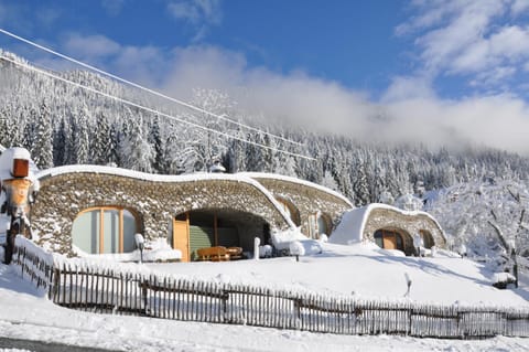 Property building, Spring, Winter, Autumn, Lake view