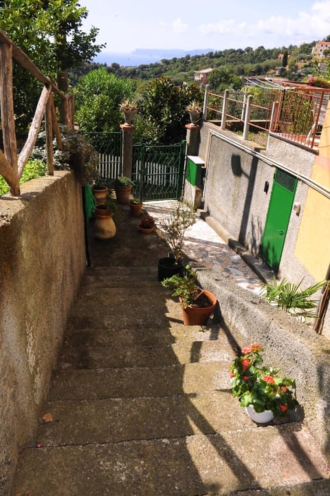 Day, Decorative detail, City view, Garden view, Landmark view, Mountain view, Sea view, Street view