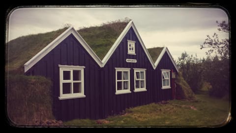Þingvellir Golden Circle Cottage Haus in Southern Region