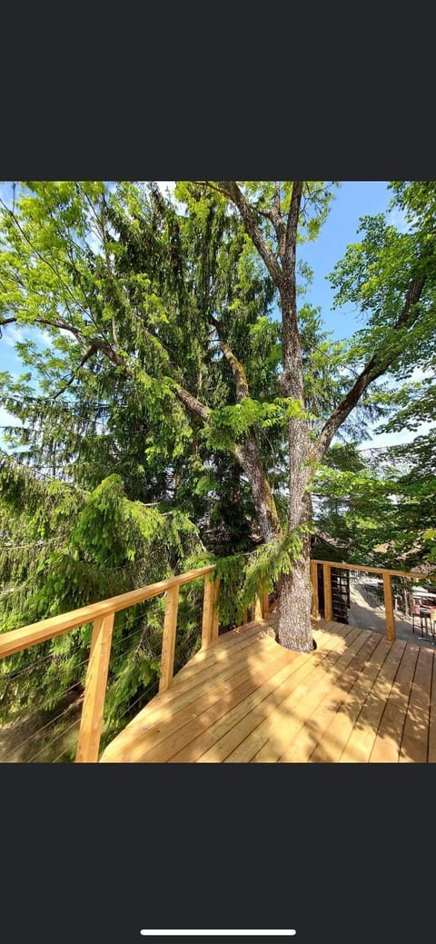 Patio, Garden, Balcony/Terrace