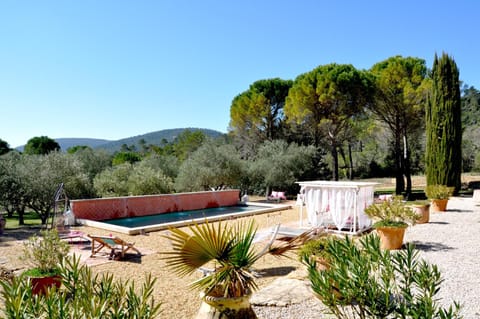 Garden, Pool view, Swimming pool, sunbed