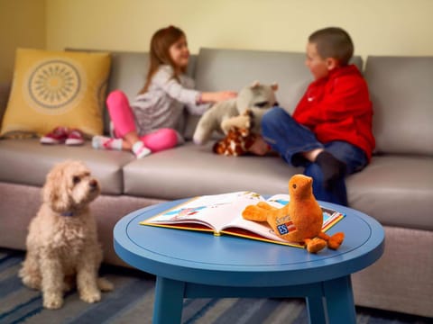 Photo of the whole room, On site, Pets