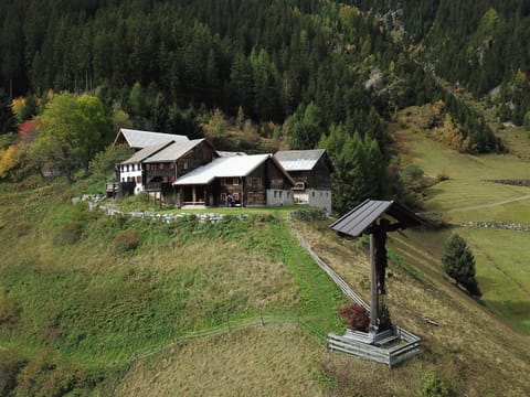 Bird's eye view, Garden