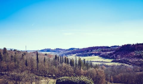 Bio-Agriturismo La Ginestra Aufenthalt auf dem Bauernhof in San Casciano Val Pesa