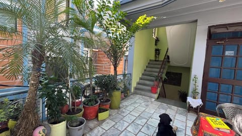 Garden, Balcony/Terrace