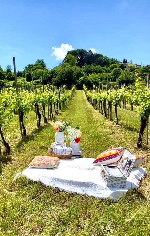 Day, Natural landscape, Garden