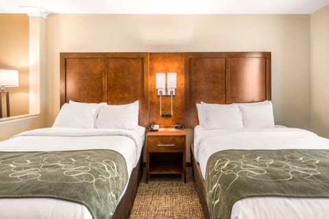 Comfort Suites Denver near Anschutz Medical Campus Hotel in Aurora