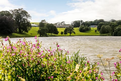 Natural landscape, Lake view