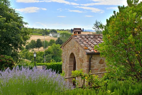 Spring, Natural landscape, Garden, Garden view