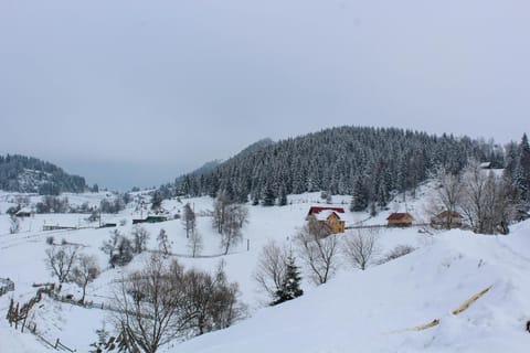 Casa Sisif Villa in Brașov County