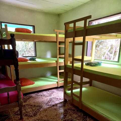 Photo of the whole room, bunk bed