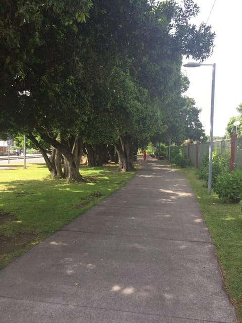 Neighbourhood, Natural landscape