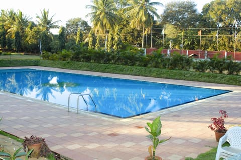 Garden, Pool view, Swimming pool