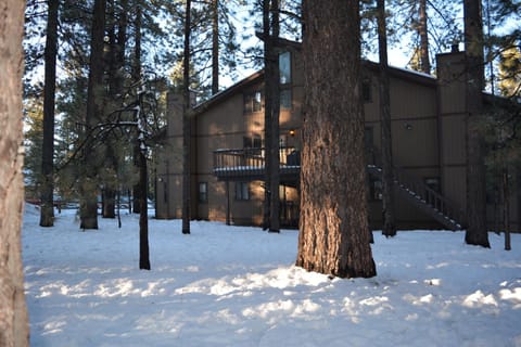 Snow Summit Getaway Home Condo in Big Bear