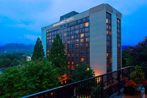 Renaissance Asheville Downtown Hotel Hotel in Asheville