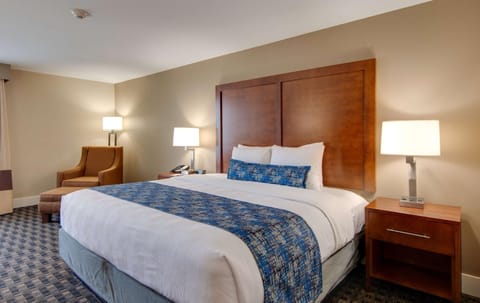 Best Western Plus Greenville I-385 Inn & Suites Hotel in Greenville