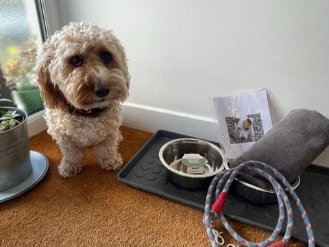 1 Woodlands House in Wales