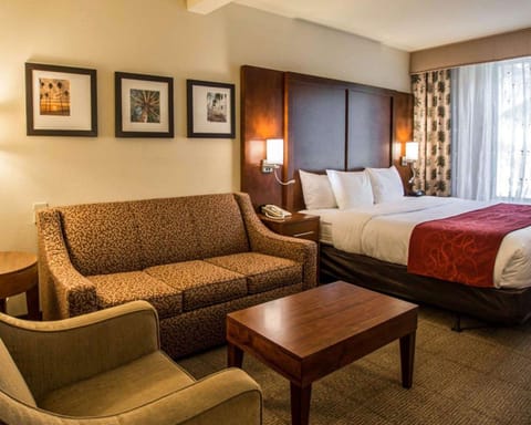 Comfort Suites Miami Hotel in University Park
