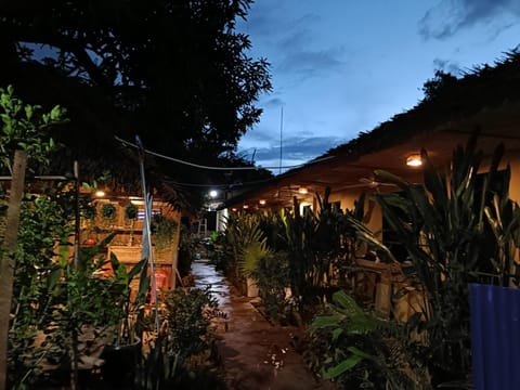 Night, Garden view