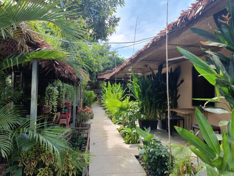 Property building, Garden, Garden view