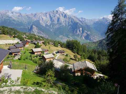 Top chalet with unobstructed views in the middle of the ski resort of La Tzoumaz Casa in Riddes