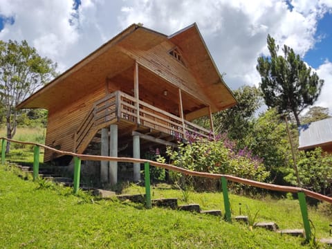 San Alberto Ecolodge Alojamento de natureza in Oxapampa