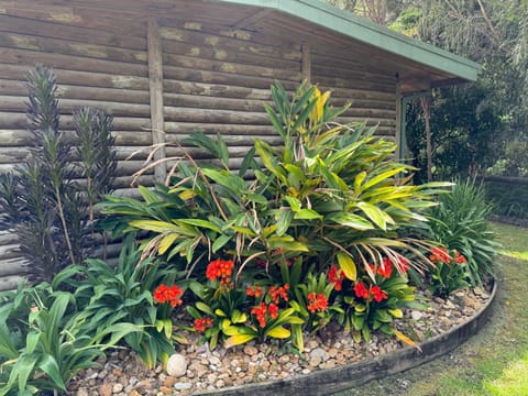 Mallacoota Log cabins Appartement in Mallacoota