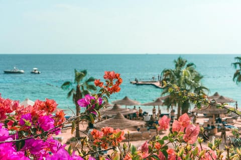 Beach, Sea view