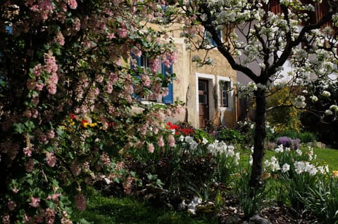 Property building, Facade/entrance, Garden