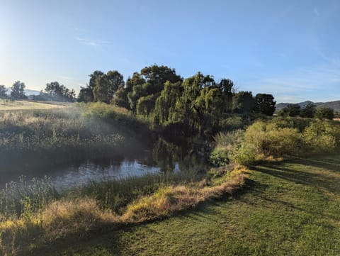 Natural landscape, River view