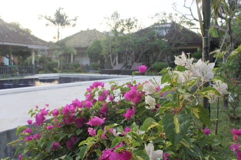 Taman Lily's Hotel Locanda in Buleleng