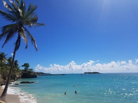 Natural landscape, Beach