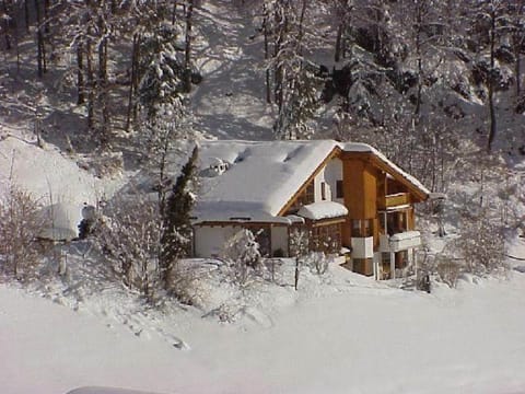 Apparthaus Vonbank Apartment in Vorarlberg, Austria