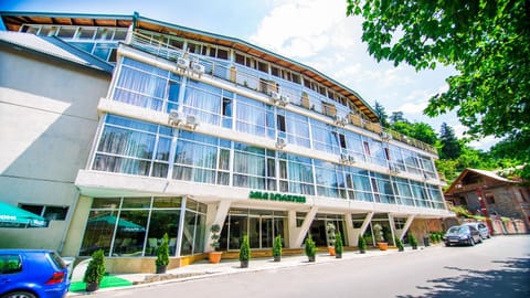 Hotel Borjomi Aisi Hotel in Georgia