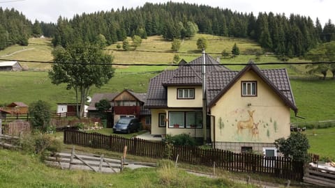 Casa Marcela Country House in Brașov County